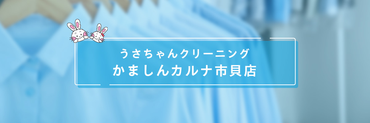 ロイヤルネットワーク株式会社 うさちゃんクリーニング かましんカルナ市貝店